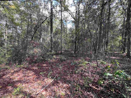 433 Cody Dr, Clinton, AR, 72031-7855 | Card Image