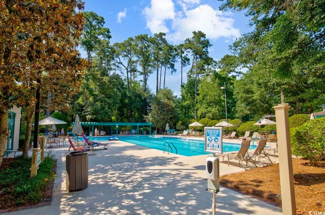 Tidewater Community pool with a patio and view of scattered trees | Image 39