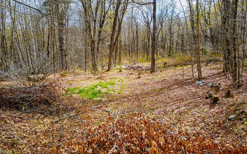 1053 Miller Pond Rd, Grantham, NH, 03753-3028 | Card Image