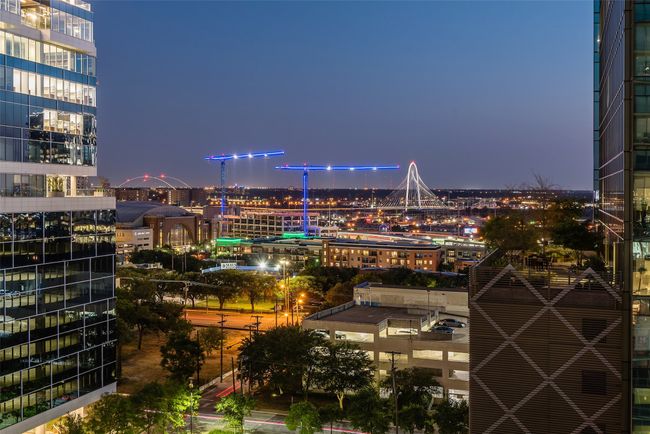 APT-1001 - 2900 Mckinnon St, Condo with 2 bedrooms, 3 bathrooms and null parking in Dallas TX | Image 24