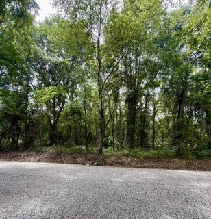 Land in Opelika 4