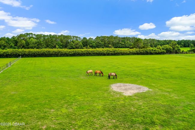 140 Little Brown Church Rd, Home with 3 bedrooms, 2 bathrooms and null parking in Pierson FL | Image 46