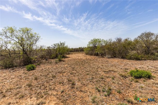 1426 S Dr E.E. Dunlap Hwy, House other with 3 bedrooms, 2 bathrooms and null parking in San Diego TX | Image 10