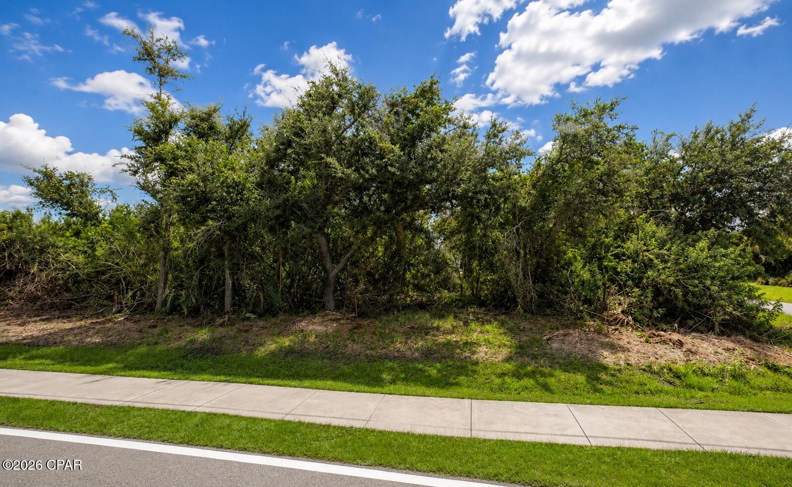 Land in Punta Gorda