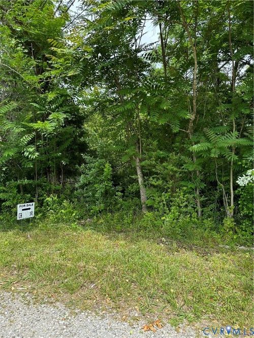 0 Winisfree, Blackstone, VA, 23824 | Card Image