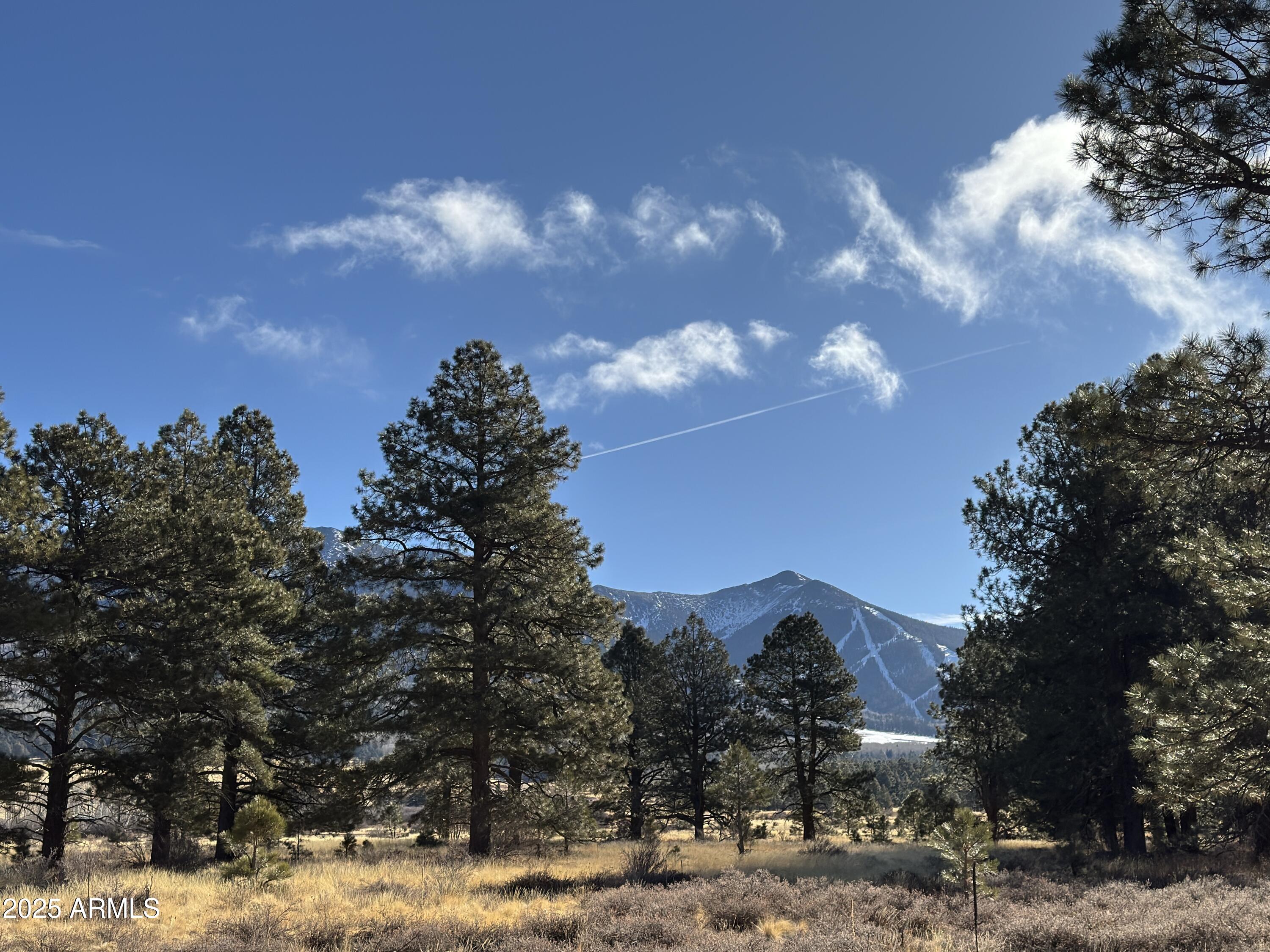 Land in Flagstaff 4