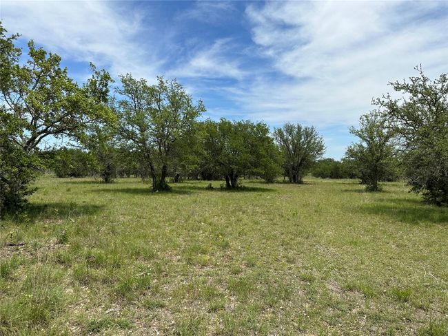 58 Bryce Trail, Home with 0 bedrooms, 0 bathrooms and null parking in Briggs TX | Image 4