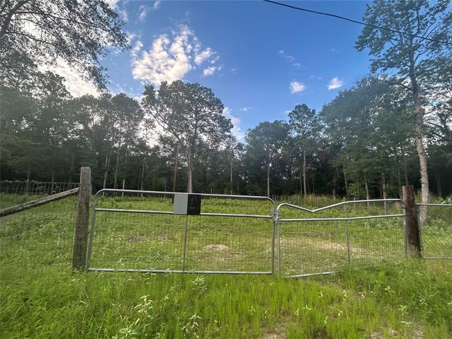 1 Judy Ln, Home with 0 bedrooms, 0 bathrooms and null parking in Shepherd TX | Image 7