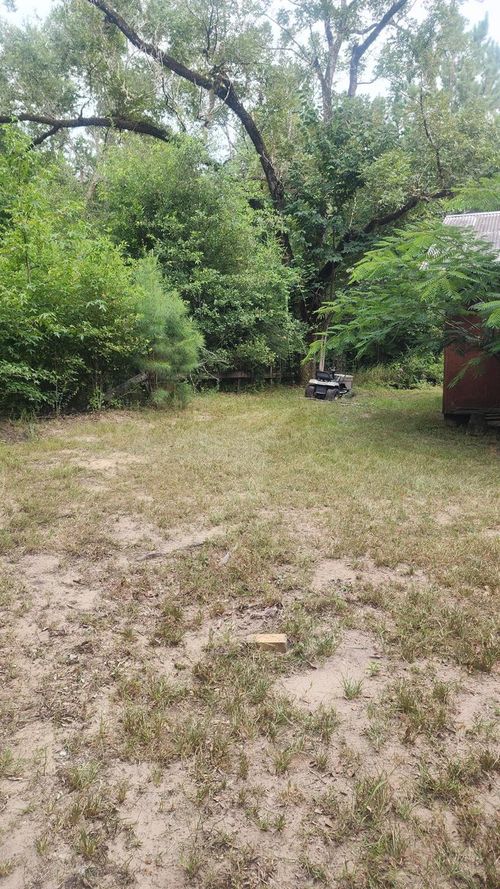 178 Pandora, Moscow, TX, 75960 | Card Image