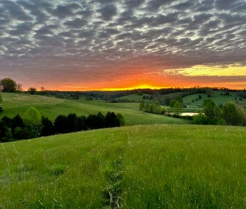 0 Mcconnell Rd, Mount Olivet, KY, 41064 | Card Image