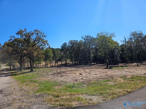 Lot 1 N Pratt St, Centre, AL, 35960 | Card Image