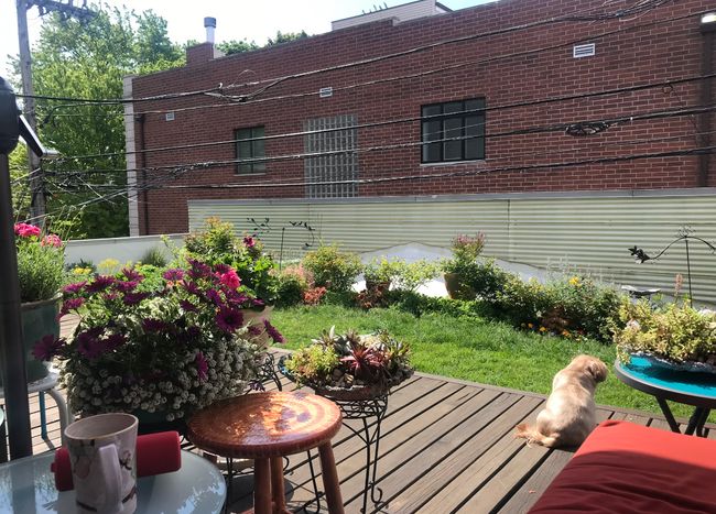 UNIT-2S - 2041 W Roscoe St, Condo with 3 bedrooms, 2 bathrooms and 1 parking in CHICAGO IL | Image 34