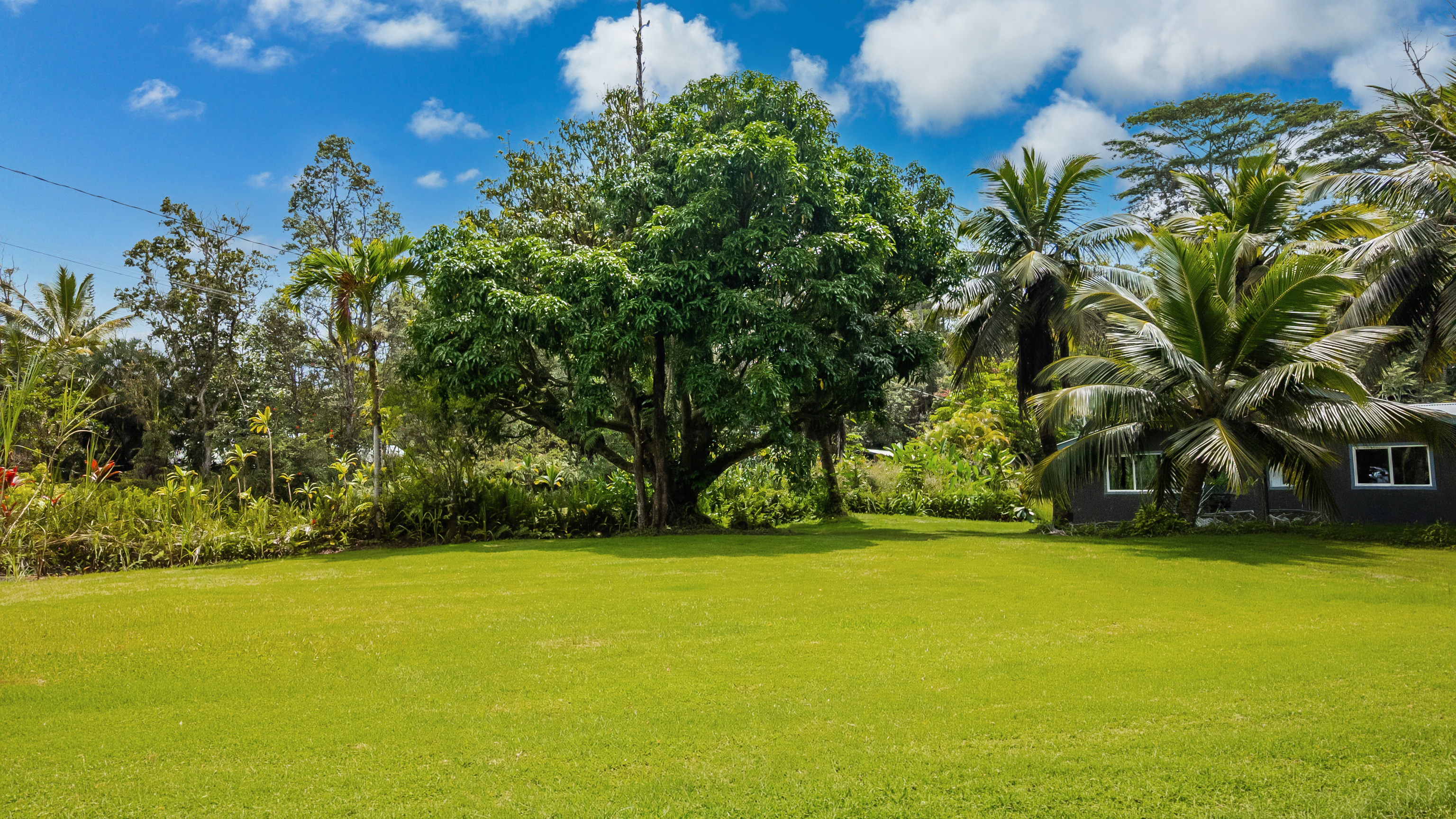 Residential in Pahoa 3