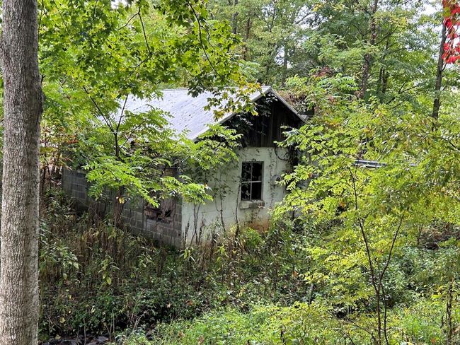 621 Point Pleasant Rd, House other with 2 bedrooms, 1 bathrooms and null parking in BLAND VA | Image 37