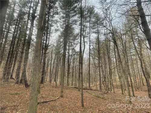 000 Crestview Drive W, Creston, NC, 28615 | Card Image