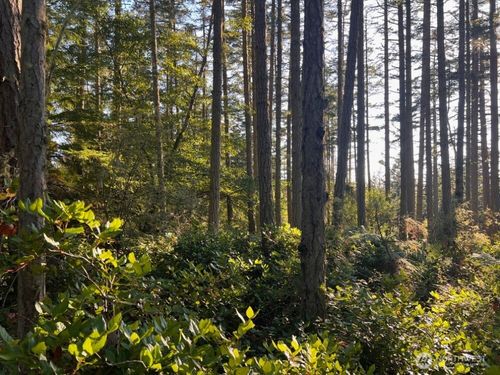 3 Pavey Blvd, Lopez Island, WA, 98261 | Card Image