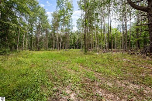 TBD Klees Rd, Crystal, MI, 48818 | Card Image
