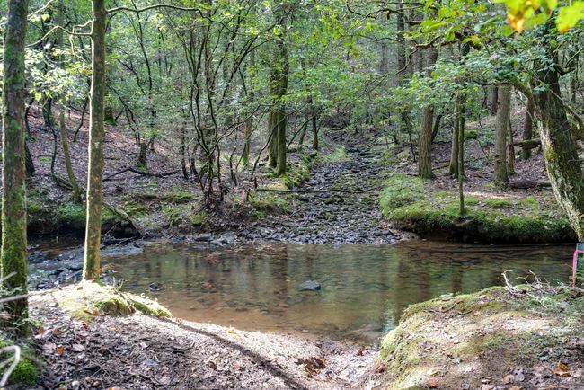 Hiking trails By the creek | Image 30