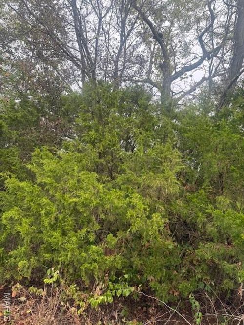 6 Tulley Ln, New Haven, MO, 63068 | Card Image