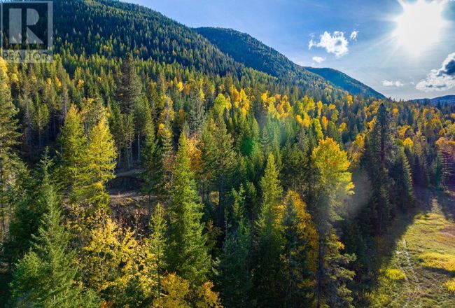 Lot 1 Corn Creek Rd, Home with 0 bedrooms, 0 bathrooms and null parking in Creston BC | Image 12