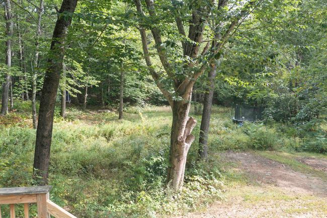 452 Berry Rd, House other with 2 bedrooms, 2 bathrooms and null parking in New Durham NH | Image 7
