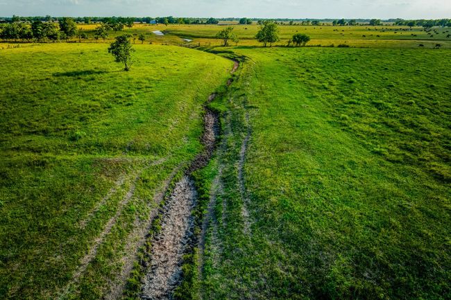 1923 Beasley West End Rd, Home with 0 bedrooms, 0 bathrooms and null parking in Beasley TX | Image 7