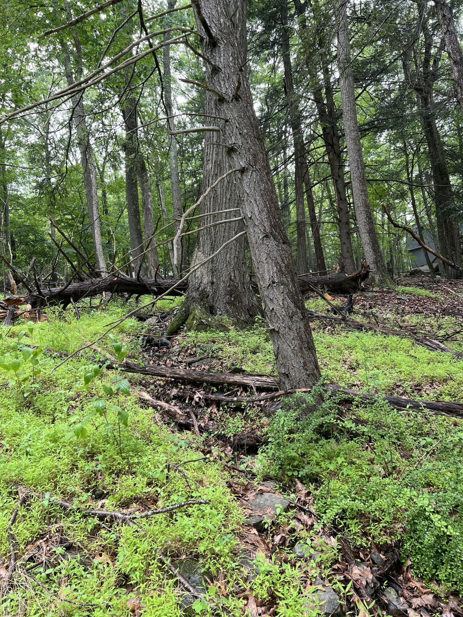 Land in East Stroudsburg 4