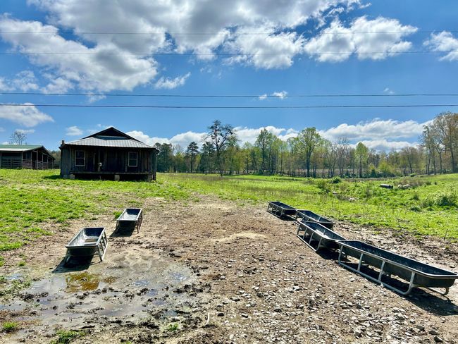 428 Dick Wilson Rd, Home with 0 bedrooms, 0 bathrooms and null parking in Strunk KY | Image 10