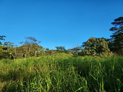 17-737 Ala Loop, MOUNTAIN VIEW, HI, 96771 | Card Image