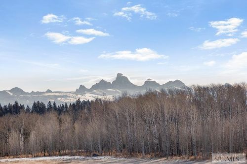 1625 Renegade Fly Dr, Ashton, ID, 83420-5502 | Card Image