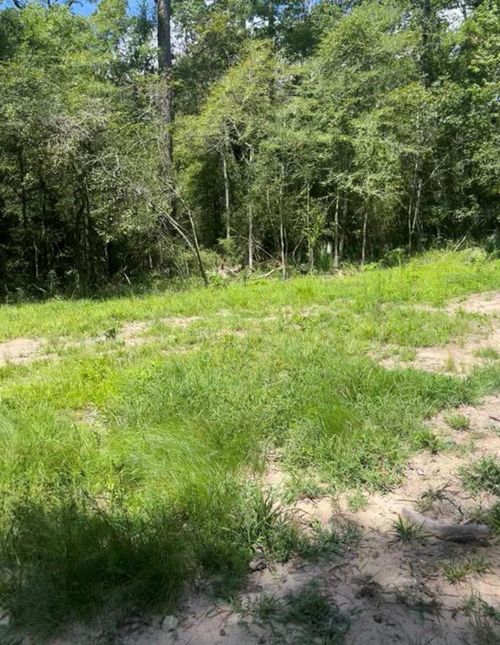 58 Firewood Rd, Huntsville, TX, 77340-1419 | Card Image