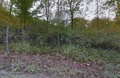 00 Buddle Road, Richfield, NY, 13439 | Card Image