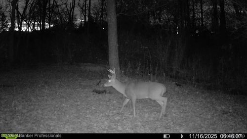 VL Rattle Run Road, St Clair Township, MI, 48079 | Card Image