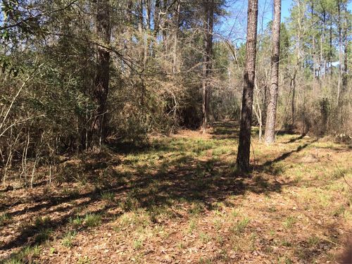 0000 Buffalo Ln, Silsbee, TX, 77656 | Card Image
