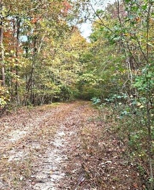 0 Fruit Farm Road, SUMMERVILLE, GA, 30747 | Card Image