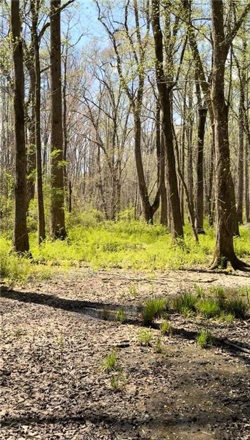 0 Ike Stone Rd, Monroe, GA, 30656 | Card Image