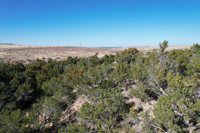 0000 Camp Springs Rd, Home with 0 bedrooms, 0 bathrooms and null parking in Snyder TX | Image 5
