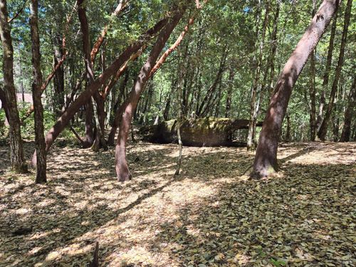 1686 Ponderosa Rd, Willits, CA, 95490-9471 | Card Image