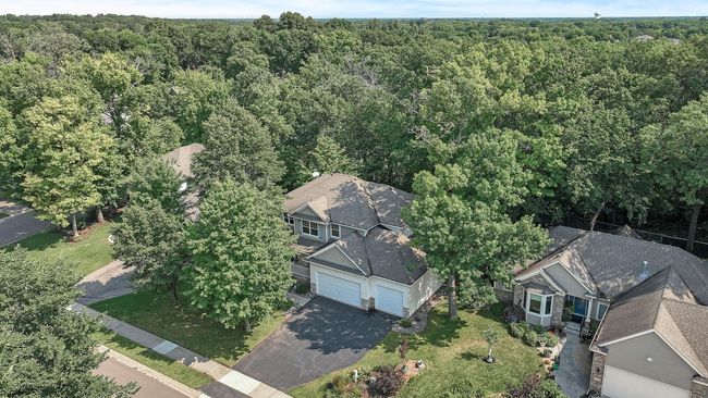 Nestled in the Woods | Image 6