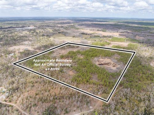 Vacant 40 Acres Ellison Frith Road, PERRY, FL, 32348 | Card Image