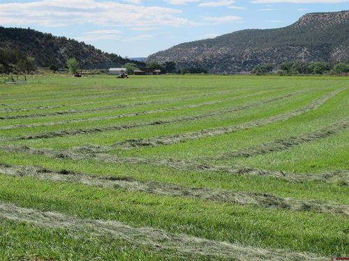 TBD Lot 1 Road G.1, Cortez, CO, 81321 | Card Image