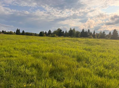 0 Gaudette Rd, Norton, VT, 05907 | Card Image