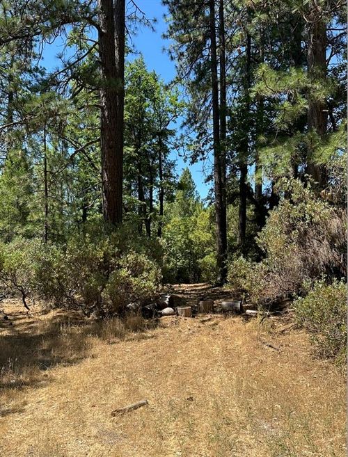 16634 Cooper Rd, Nevada City, CA, 95959-9206 | Card Image