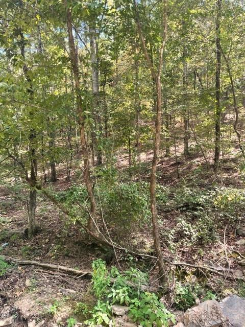 Land in Broken Bow 4