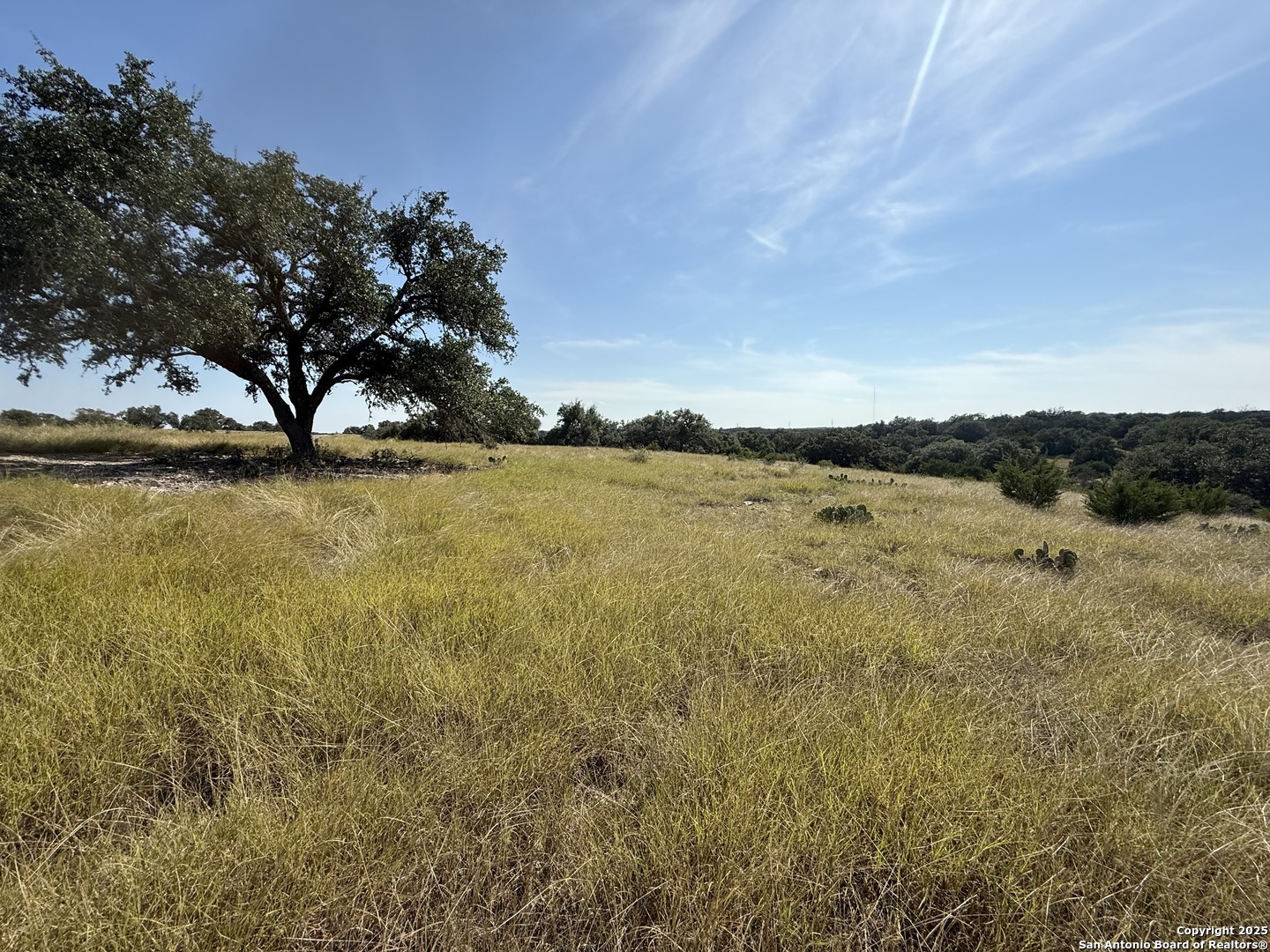 Land in Kerrville 5