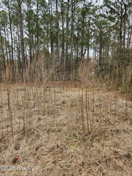 247 Old Ramsey Rd, Burgaw, NC, 28425-3761 | Card Image