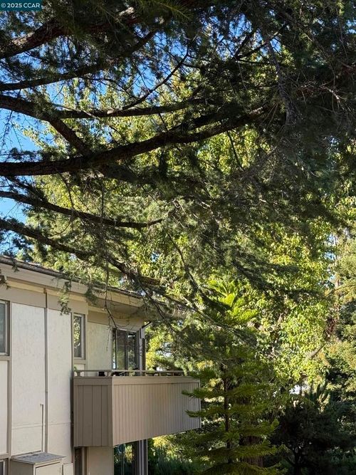 apt-3-2825 Ptarmigan Dr, Walnut Creek, CA, 94595-3134 | Card Image