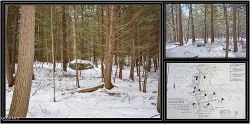 34 Carriage Knolls Rd, Chestertown, NY, 12817-2828 | Card Image