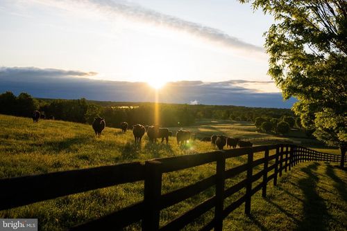 510 Mount Pleasant Farm, SCOTTSVILLE, VA, 24590-3978 | Card Image