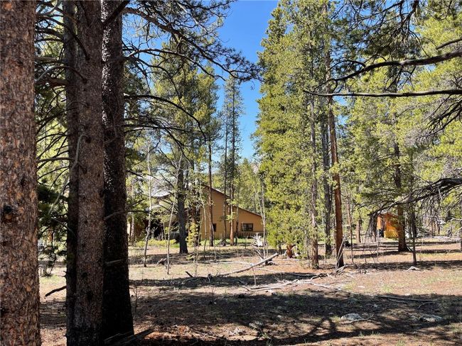 1305 Lakeside Dr, House other with 3 bedrooms, 4 bathrooms and null parking in FAIRPLAY CO | Image 36